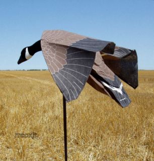 EDGE BY EXPEDITE TRUMOTION CANADA GOOSE MAGNET FLYING DECOY FLOCKED 