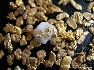lbs Montana gold nugget panning paydirt Bullion Dust