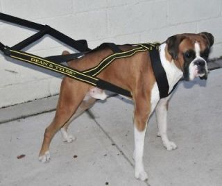   Pulling Dog Harness Professional Competition Large Mastiff Cane Corso