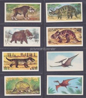 PREHISTORIC ANIMALS   Full Set 50 English Tea Cards   Smilodon 