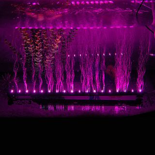   Eclairage lampe lumiere violet 18 LED 46 CM PR Aquarium fish tank