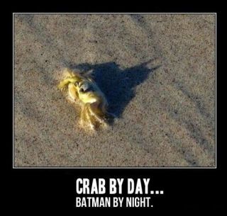 CRAB BY DAY BATMAN BY NIGHT funny T SHIRT animal comedy tee Mens 