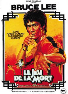 Game Of Death (1978) Bruce Lee cult movie poster print 4