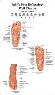  Na Foot Reflexology Wall Chart (English Chinese) Han Yonghe/ Liu Peng