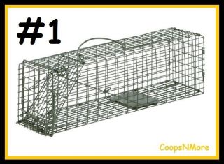   x5x5 DUKE #1 LIVE ANIMAL TRAP★ SQUIRREL CHIPMUNK RAT HUMANE CAGE