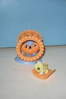 Littlest Pet Shop #137 Hamster with Exercise Wheel