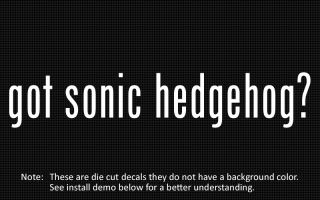 2x) got sonic hedgehog? Sticker Die Cut Decal vinyl