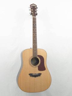 washburn acoustic guitar in Guitar