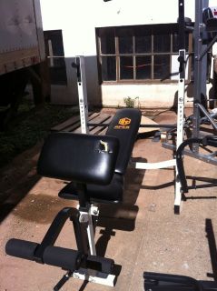 Apex Multi Function Folding Weight Bench WM 348.1 Blemished Local Pick 