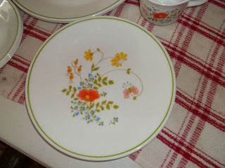 Corning Corelle Wildflower Luncheon Plate Floral Green Band