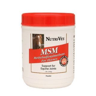 Nutri Vet MSM Powder for Horse, 2 Pound