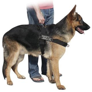 No Pull Harness with Patches SEIZURE ALERT SERVICE DOG