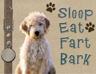 GOLDENDOODLE Dog Magnet Sleep Eat Fart Bark