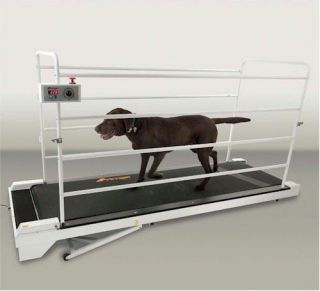 Go Pet PetRun PR730 Dog Exercise Treadmill Overall Size 100 L x 34 