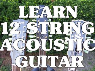 Learn 12 String Acoustic Guitar! Beginner Lessons DVD.