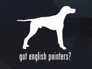 GOT ENGLISH POINTERS? POINTER DOG DECAL   DOGS STICKER