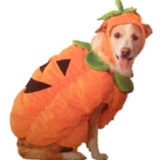 Soft Plush Dog Pumpkin Costume Smiley Face Jackolantern Pet Suit