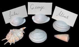 100 White Seashell Place Card Holders Beach Wedding Nautical Party 