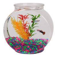 glass fish bowl in Pet Supplies
