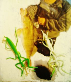 ICE FISHING FOR WALLEYE PIKE A FOUR INCH. GREEN PRAYING MANTIS 