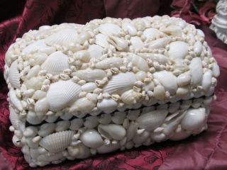 LOVELY SEASHELL COVERED LIDDED BOX~Shabby~Cot​tage~Chic