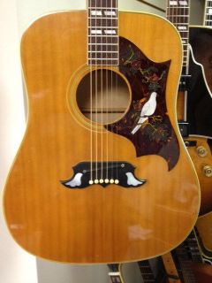 Vintage 1969 Gibson Dove acoustic guitar