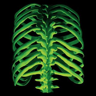 Green Skeleton Glow in the Dark Liquid Blue Graphics T Shirt Your Size 