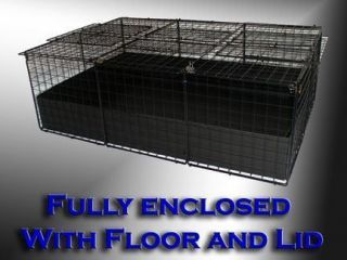 guinea pig cages in Small Animal Supplies