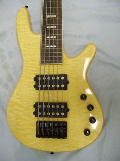Bass Guitar, 6 String, solid wood body