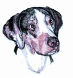 catahoula leopard dog in Clothing, Shoes & Accessories
