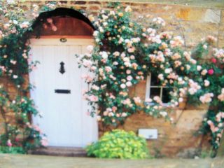 Shabby Green Wood Art White Front Door Rose Flowers Trellis