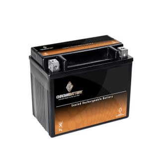 YTX12 BS ATV Battery for KYMCO Mongoose, MXU250 250CC All Years