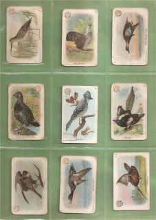 Arm & Hammer NEW SERIES OF BIRDS Complete Set Of 30 Vintage Trading 
