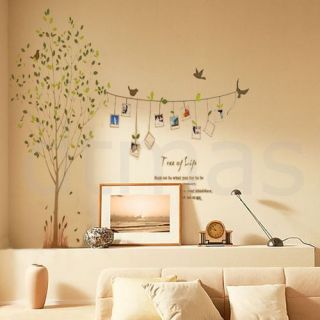 Photo Frame Leaves Tree Bird Removable Kids Room Art Mural Wall 