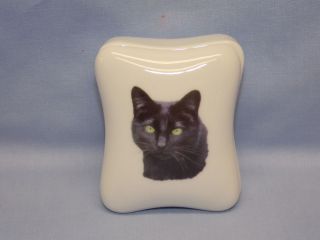 Black Shorthair Cat Dresser or Trinket Box Porcelain Fired Head Decal 
