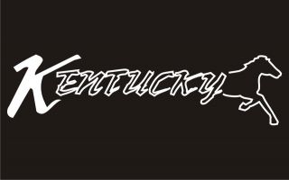 KENTUCKY Bluegrass State Wildcats Kentucky Derby Horse Horses Funny T 