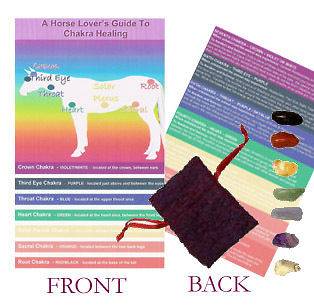 A5 Horse Chakra Healing chart & crystals giftset  REIKI