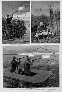 DUCK HUNTING, ANTIQUE DECOYS, CHESAPEAKE BAY SHOOTING