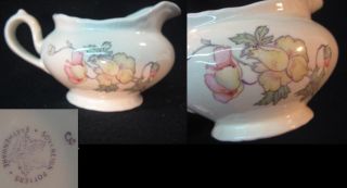 SOVEREIGN POTTERS c1946 Canada CARESSE CREAMER Poppy Pink & Yellow 