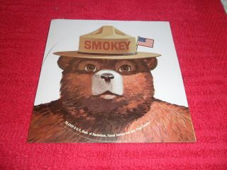 VINTAGE SMOKEY THE BEAR AMERICAN FLAG STICKER FOREST SERVICES NEW 5X5