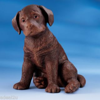 Lenox Chocolate Brown Lab Labrador Retriever Puppy LRGE