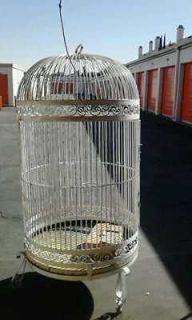 big bird cage