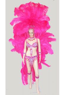   C046 Samba Parade Carnival Brazil Feather Headdress Costume Set XS XL