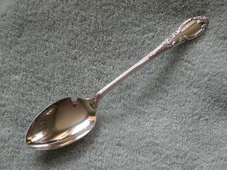 Enchantment   1881 Rogers Oneida LTD   Serving Spoon /s