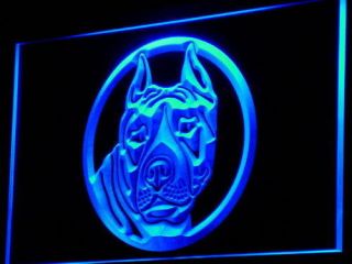i692 b Staffordshire Bull Terrier Staffie Dog Neon Sign