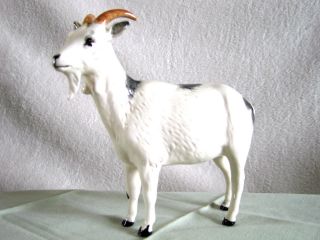 Royal Doulton Nigerian Pot bellied Pygmy Goat in mint condition