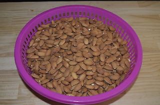 pounds of fresh, raw almonds. 2012 crop.