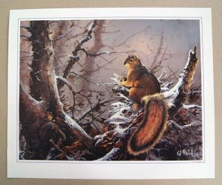 Vintage 1985 Ted Blaylock Squirrel Print MINT 