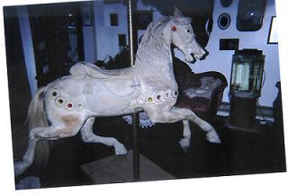 Antique Carousel Horse by Looff