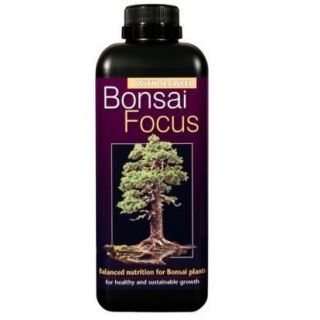 Bonsai Focus Plant Food   Nutrients for Bonsai Trees   100ml